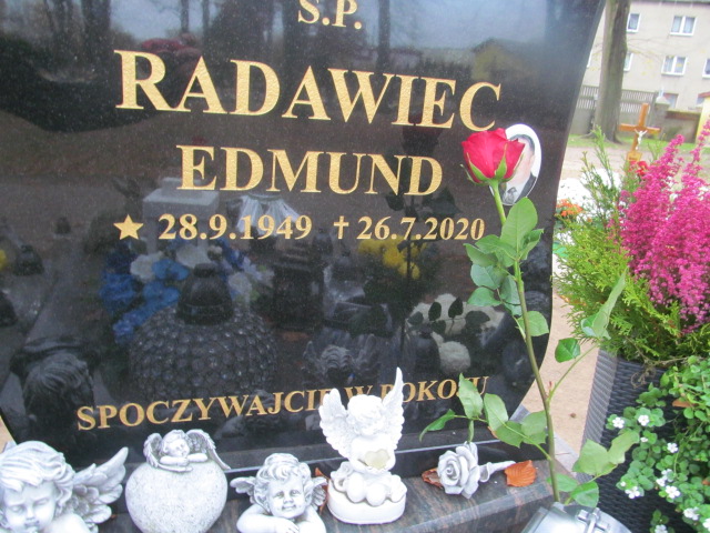 Danuta Radawiec 1949 Maszewo - Grobonet - Wyszukiwarka osób pochowanych