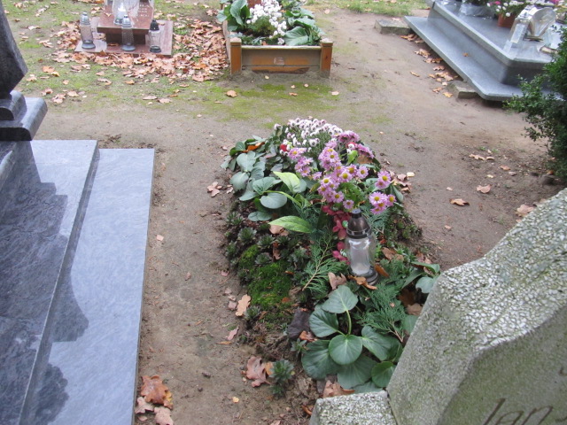  NN Maszewo - Grobonet - Wyszukiwarka osób pochowanych